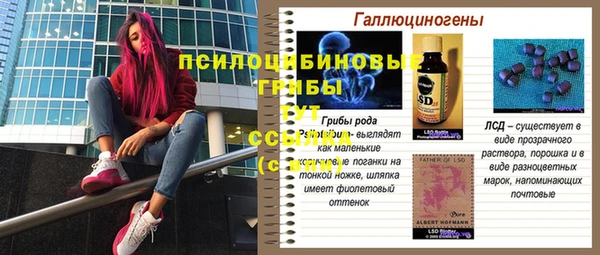 мдпв Снежинск