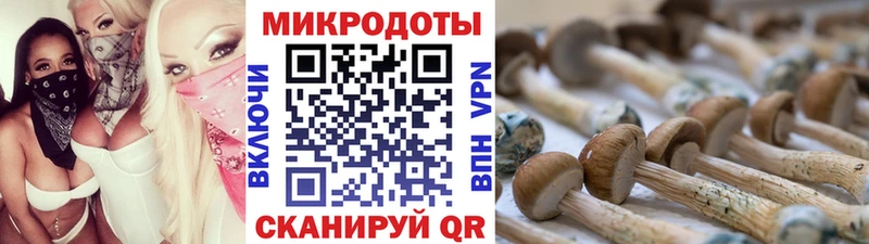 Галлюциногенные грибы GOLDEN TEACHER Липецк